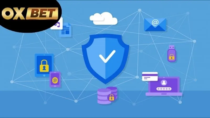 Cách Người Dùng Có Thể Hợp Tác với Chính sách Bảo mật OXBET