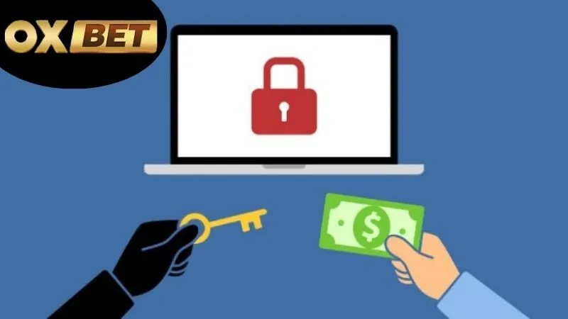 Xử lý sự cố OXBET – Nhanh chóng, hiệu quả tuyệt đối 3 Hướng dẫn xử lý sự cố cơ bản